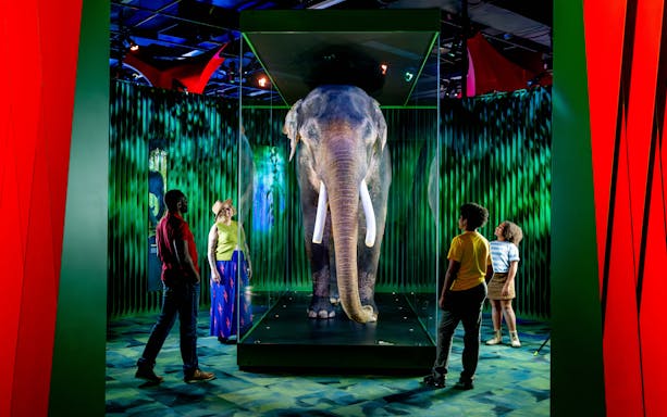 Family viewing elephant exhibit at Our Wondrous Planet, Melbourne Museum.