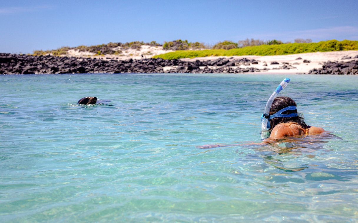 Woman snorkeling near a sea lion in clear waters with rocky shore in the background.