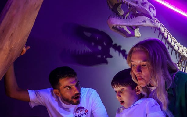 Family experiencing dinosaur VR with fossil display at museum exhibit.