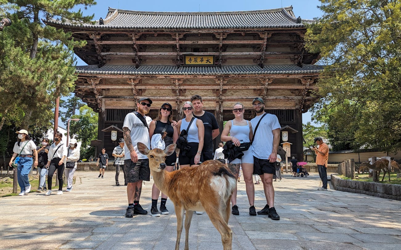 wandeltocht door nara: todaiji-tempel, gangoji-tempel, het hertenpark en een theeceremonie-1