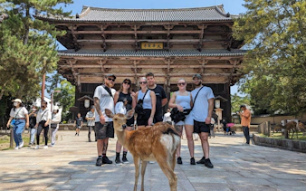 nara walking tour: todaiji temple, gangoji temple, deer park and tea ceremony-1