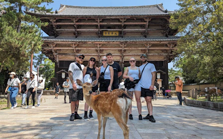 Nara Walking Tour: Todaiji Temple, Gangoji Temple, Deer Park and Tea Ceremony
