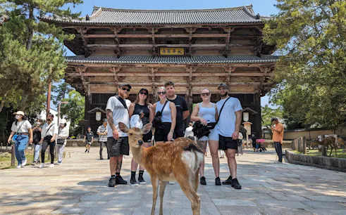 tour a piedi di nara: tempio todaiji, tempio gangoji, parco dei cervi e cerimonia del tè-1