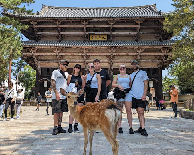 Nara Walking Tour: Todaiji Temple, Gangoji Temple, Deer Park and Tea Ceremony