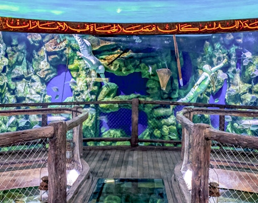 Aquarium tunnel with diver and fish in Dubai Mall, UAE.