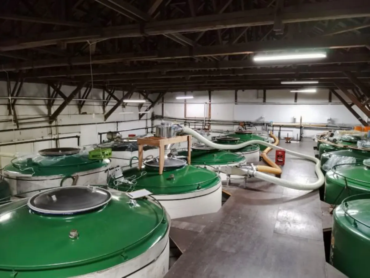 Tokyo: Toshimaya Sake Brewery Guided Tour with Tastings Image 3