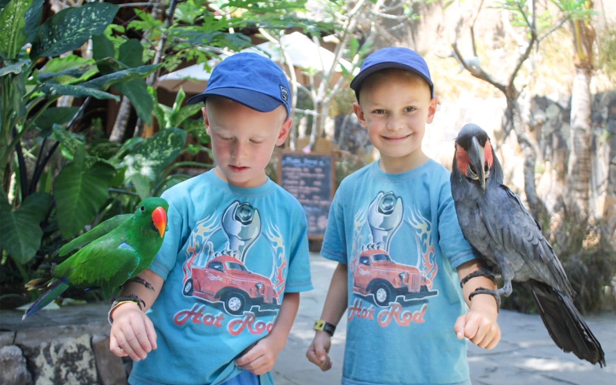 Boys holding colorful parrots at Lombok Wildlife Park.