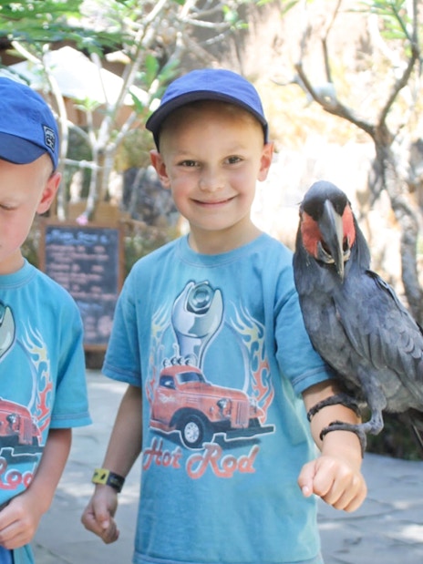 Boys holding colorful parrots at Lombok Wildlife Park.
