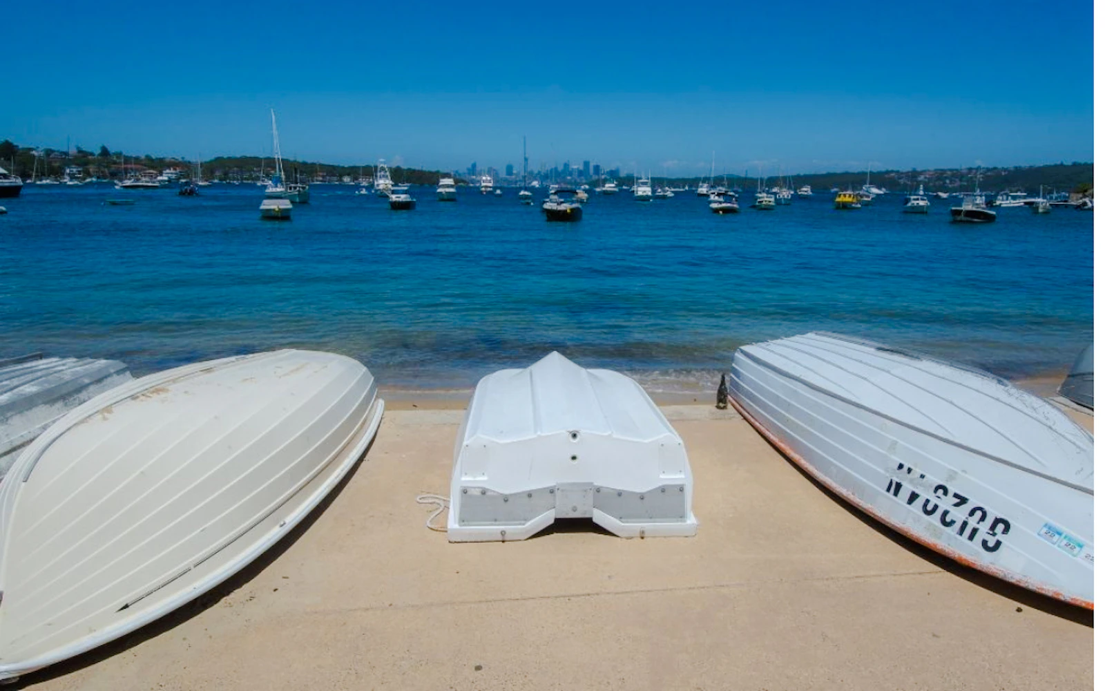 Sydney Watsons Bay Walking Tour with Ferry Tickets and Fish and Chips Lunch Image 5