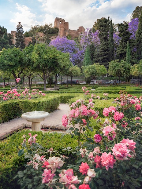 Roman Theater and Alcazaba Castle gardens with blooming flowers and lush greenery.