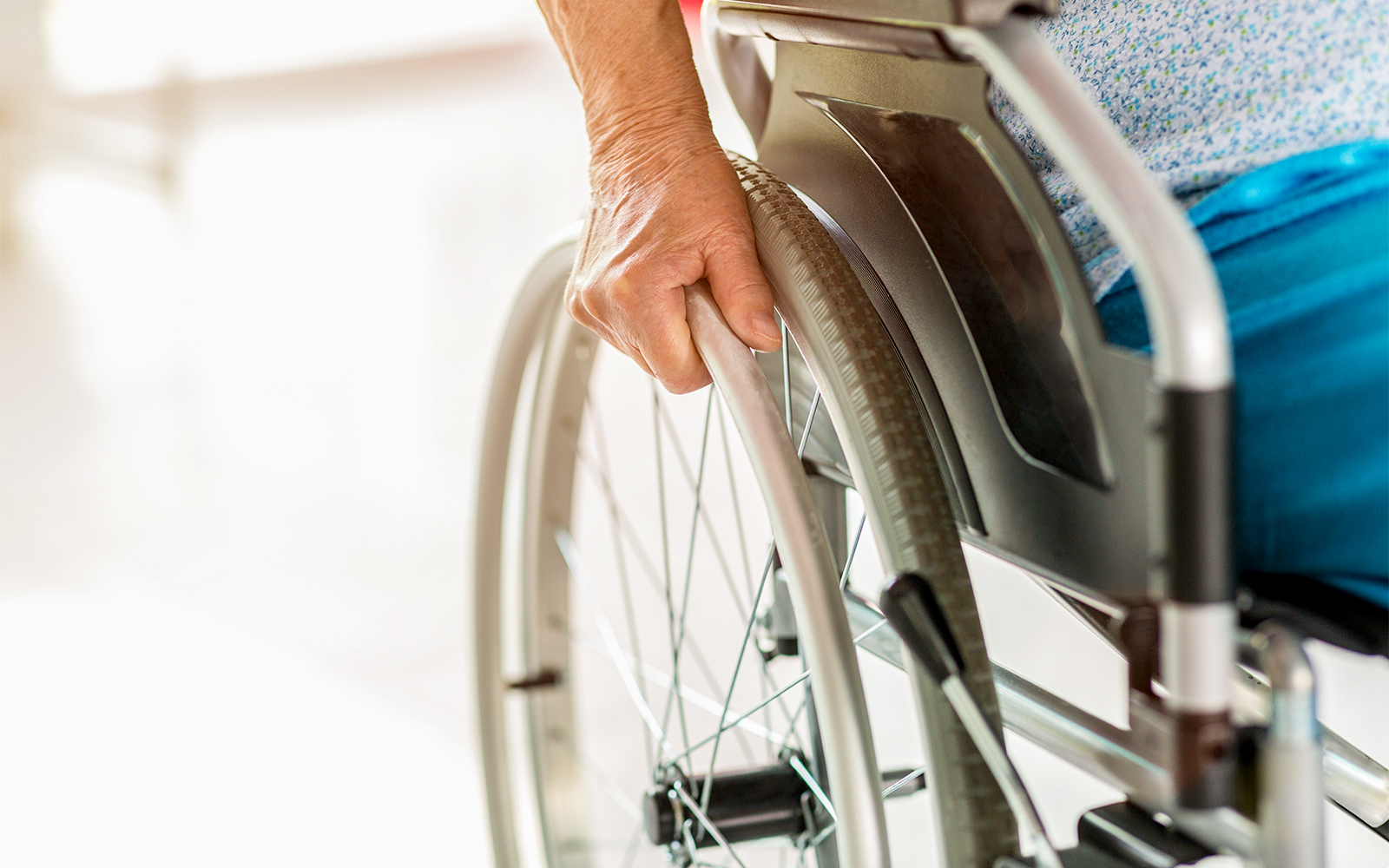 Daintree National Park