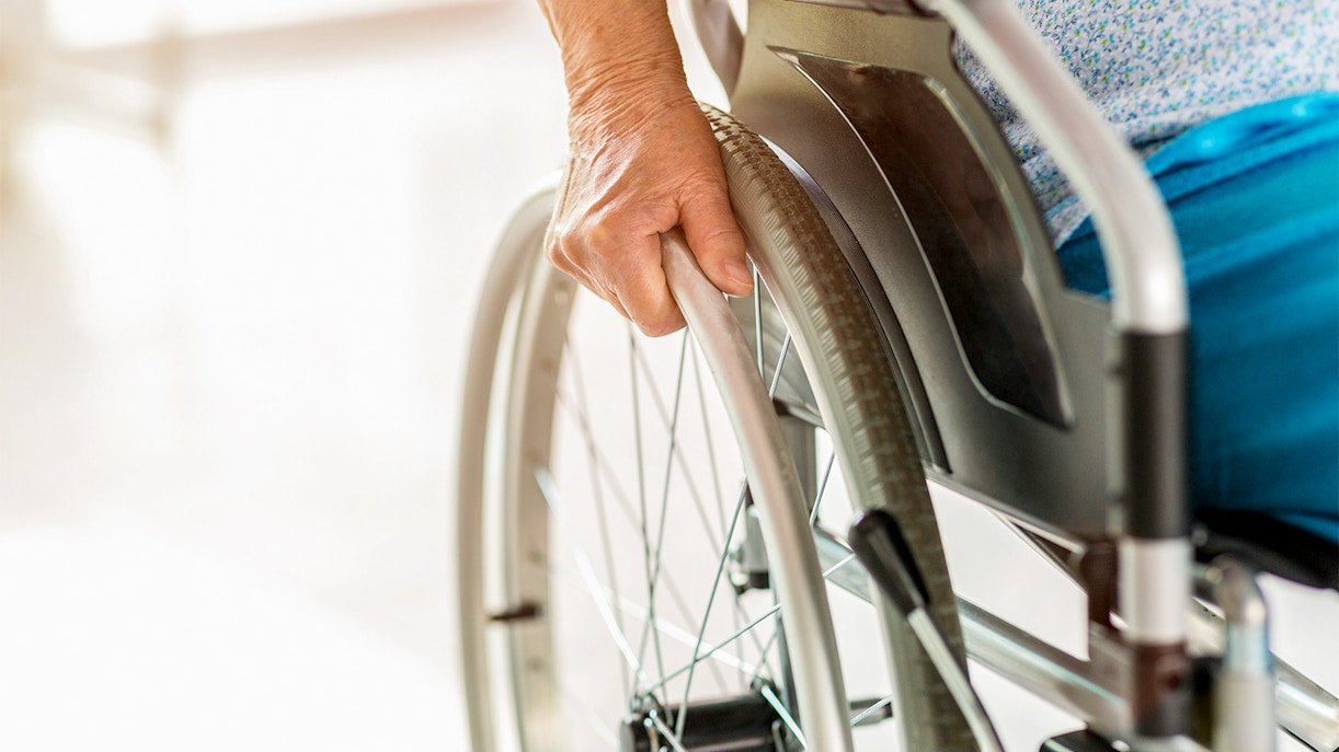 Daintree National Park