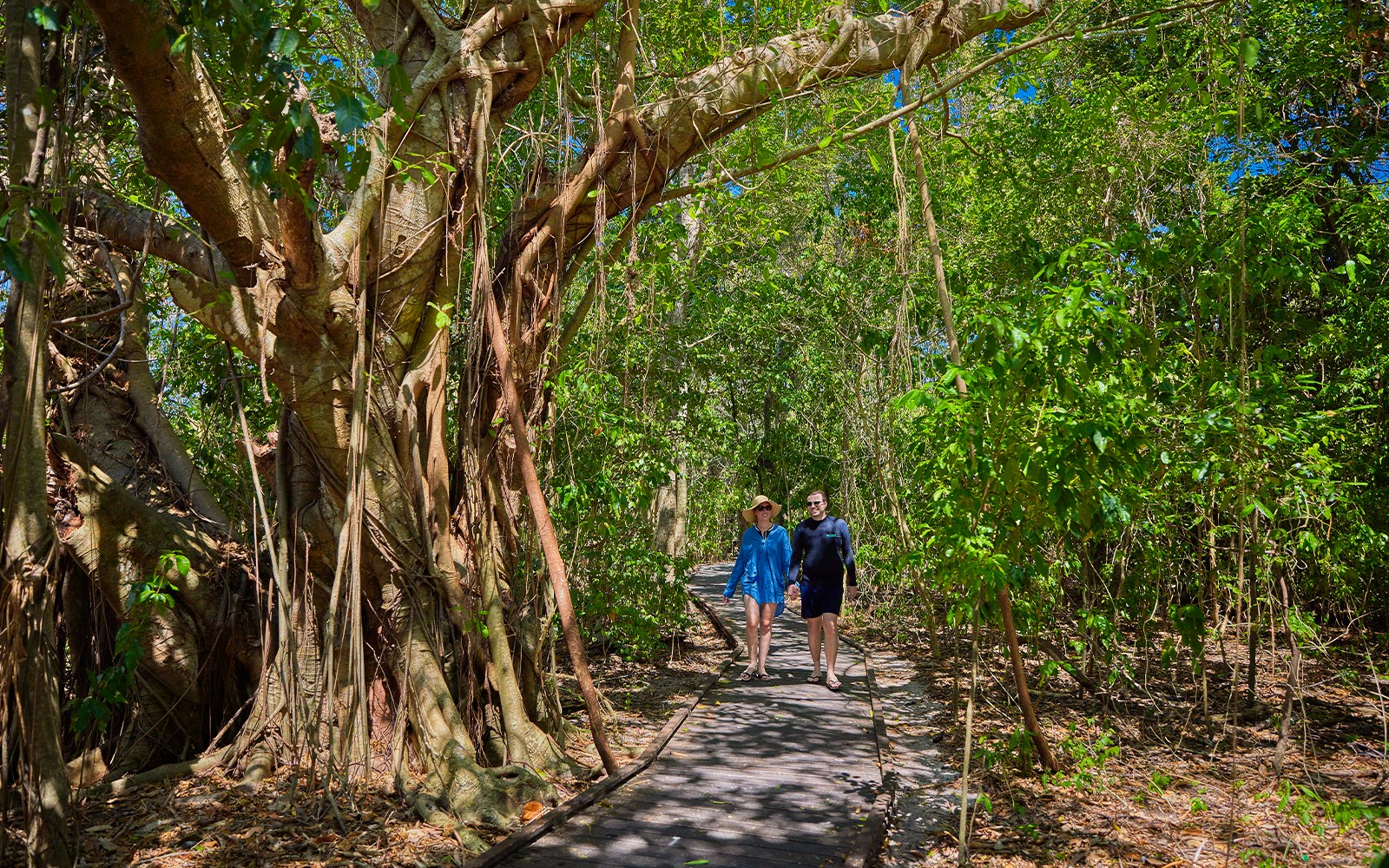 Tourists on a catamaran cruise in clear blue waters near Green Island Reef, Cairns, Australia.