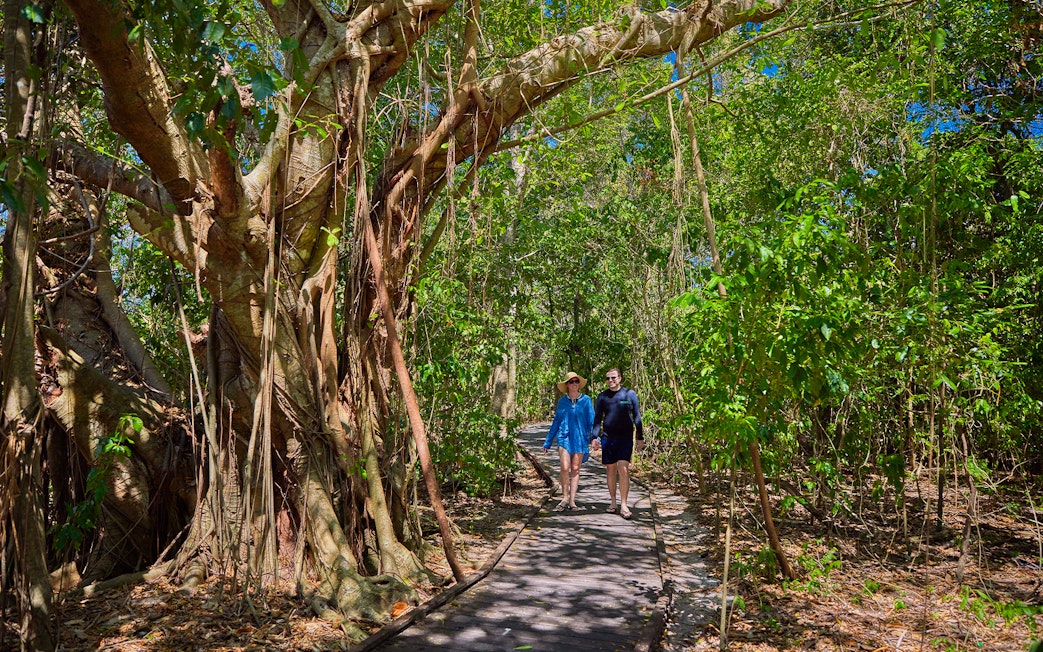 Tourists walking on a forest path on Green Island, Cairns, Australia.