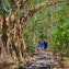 Self-guided eco walk