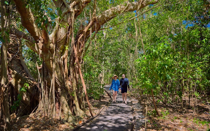 Tourists walking on a forest path on Green Island, Cairns, Australia.