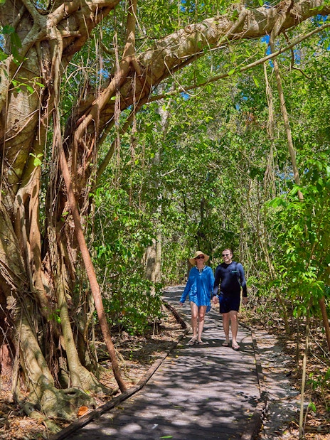 Tourists walking on a forest path on Green Island, Cairns, Australia.