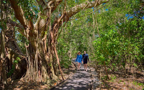 Tourists walking on a forest path on Green Island, Cairns, Australia.
