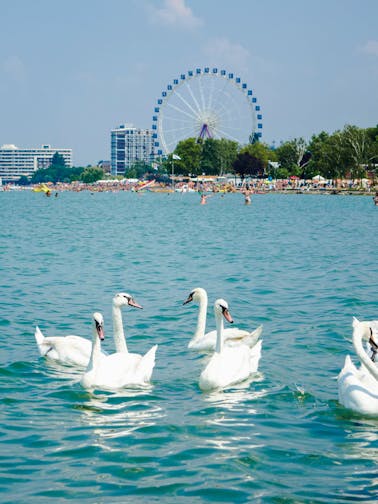 Excursión de un día de Budapest al Lago Balatón