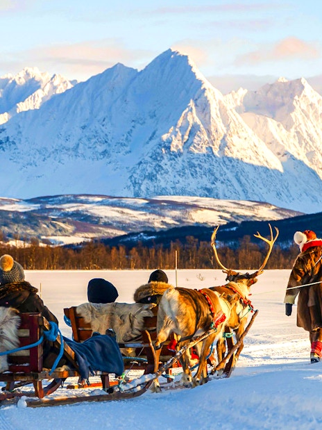 Tourists on a reindeer sled in Tromso, guided by a Sami person, with snowy mountains in the background.