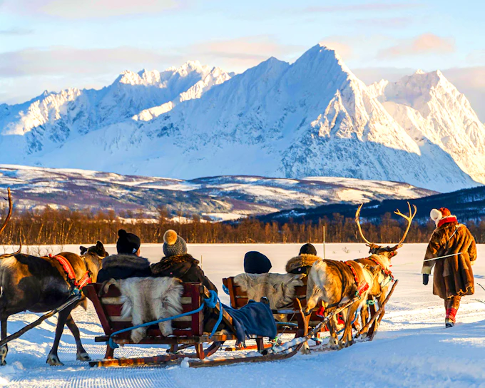 Reindeer Sledding & Sami Culture Guided Tour with Hot Drinks & Meal