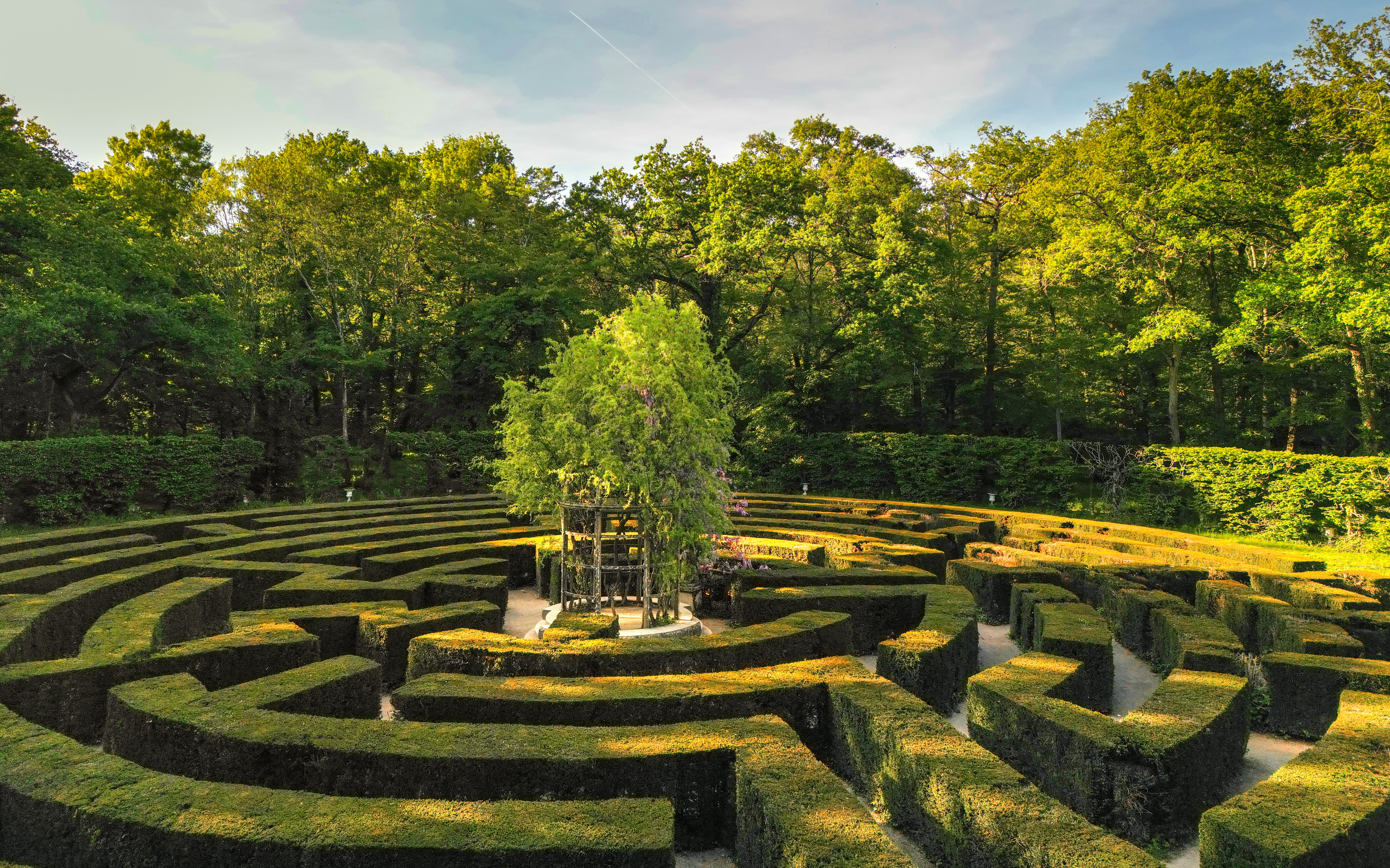 Chenonceau Castle garden maze surrounded by lush greenery in France.