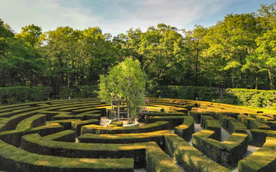 Chenonceau Castle garden maze surrounded by lush greenery in France.