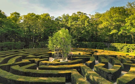 Chenonceau Castle garden maze surrounded by lush greenery in France.