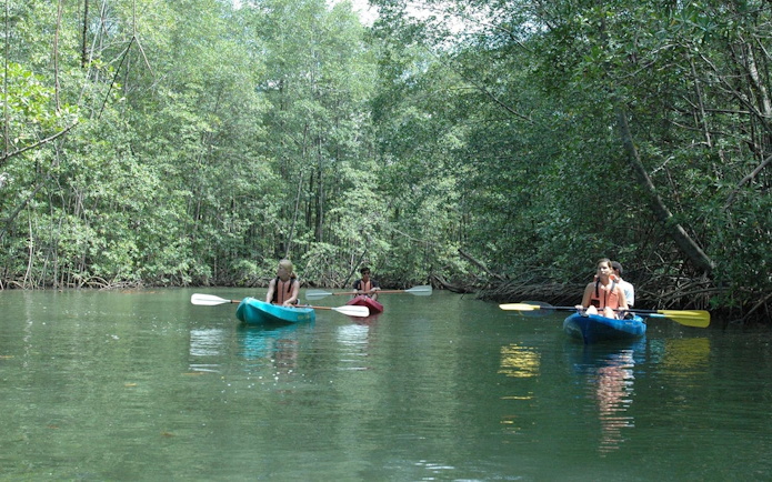 Kayakers navigating Damas Island mangrove estuary in Manuel Antonio.