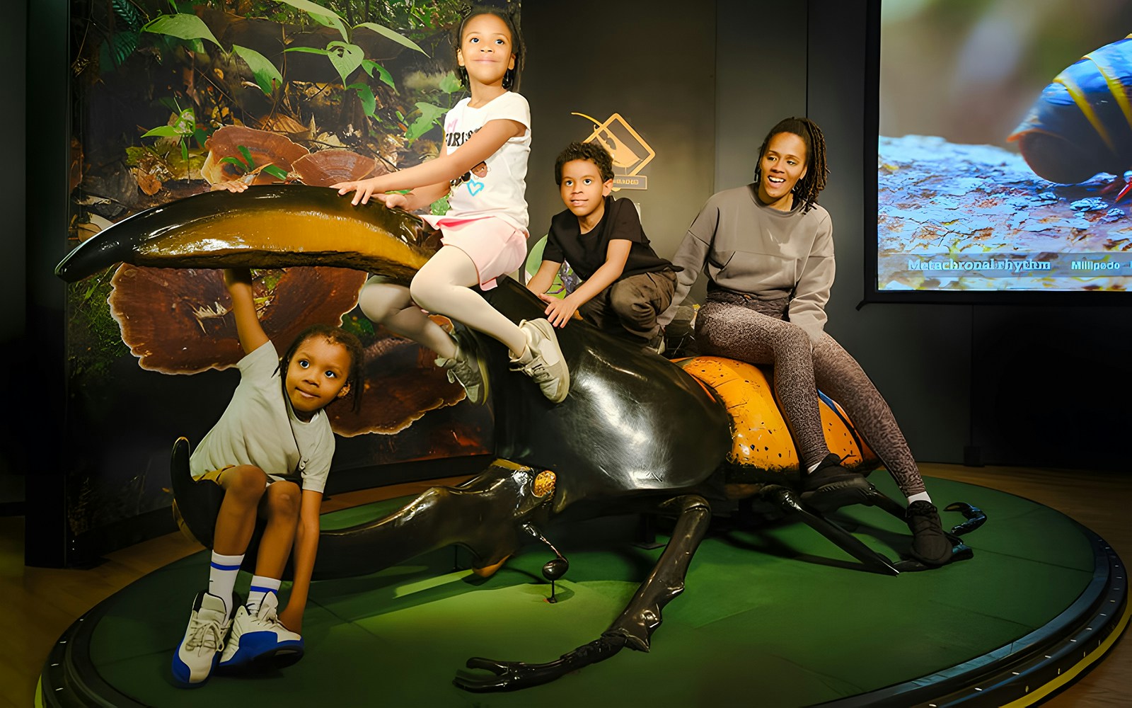 Guests interacting with a life-size Hercules beetle at the American Museum of Natural History.