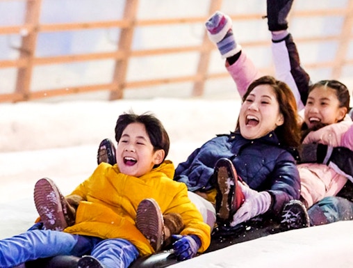Children enjoying a snow slide at Snow City.