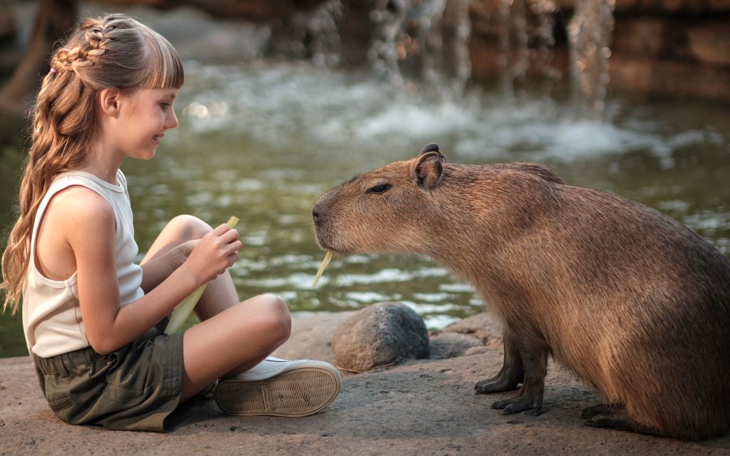 Child feeding capybara at Bali Zoo.