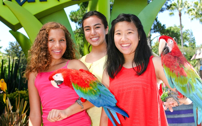 Visitors holding colorful parrots at Bird Trail, Six Flags Discovery Kingdom.
