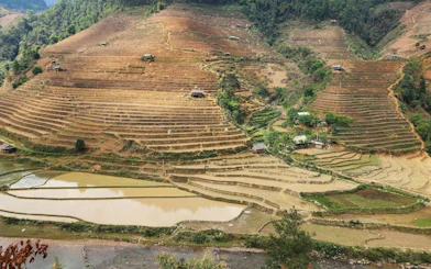 Rice terraces in Mu Cang Chai with scattered huts and lush greenery, Sa Pa motorbike tour.
