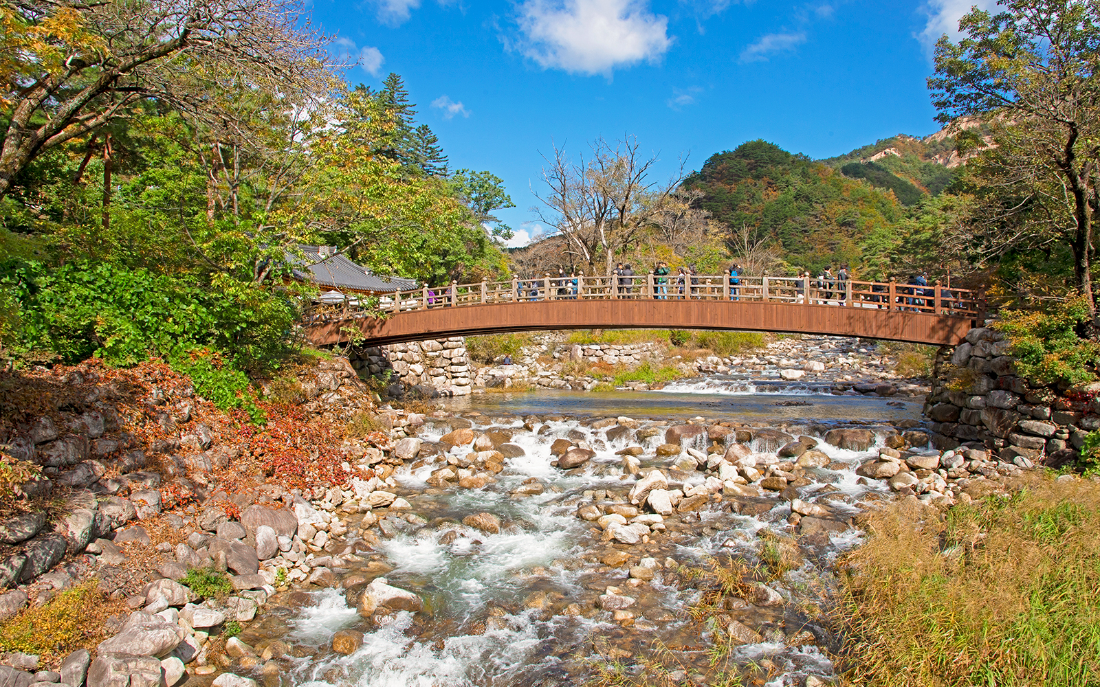 Wooden bridge over a rocky stream in Seoraksan National Park, surrounded by lush trees.
