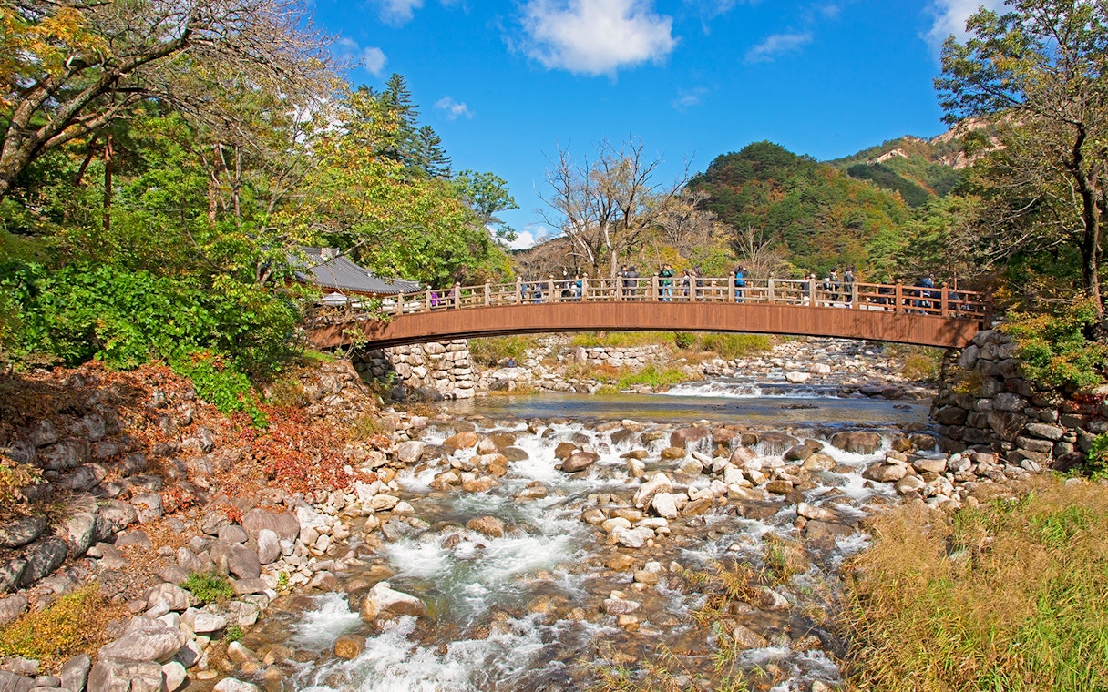Wooden bridge over a rocky stream in Seoraksan National Park, surrounded by lush trees.