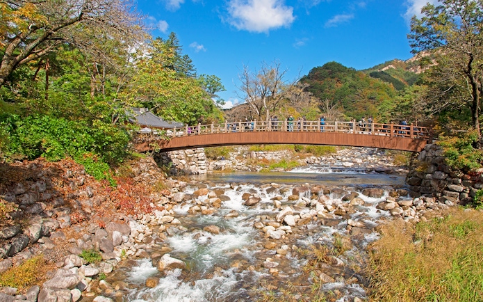 Wooden bridge over a rocky stream in Seoraksan National Park, surrounded by lush trees.