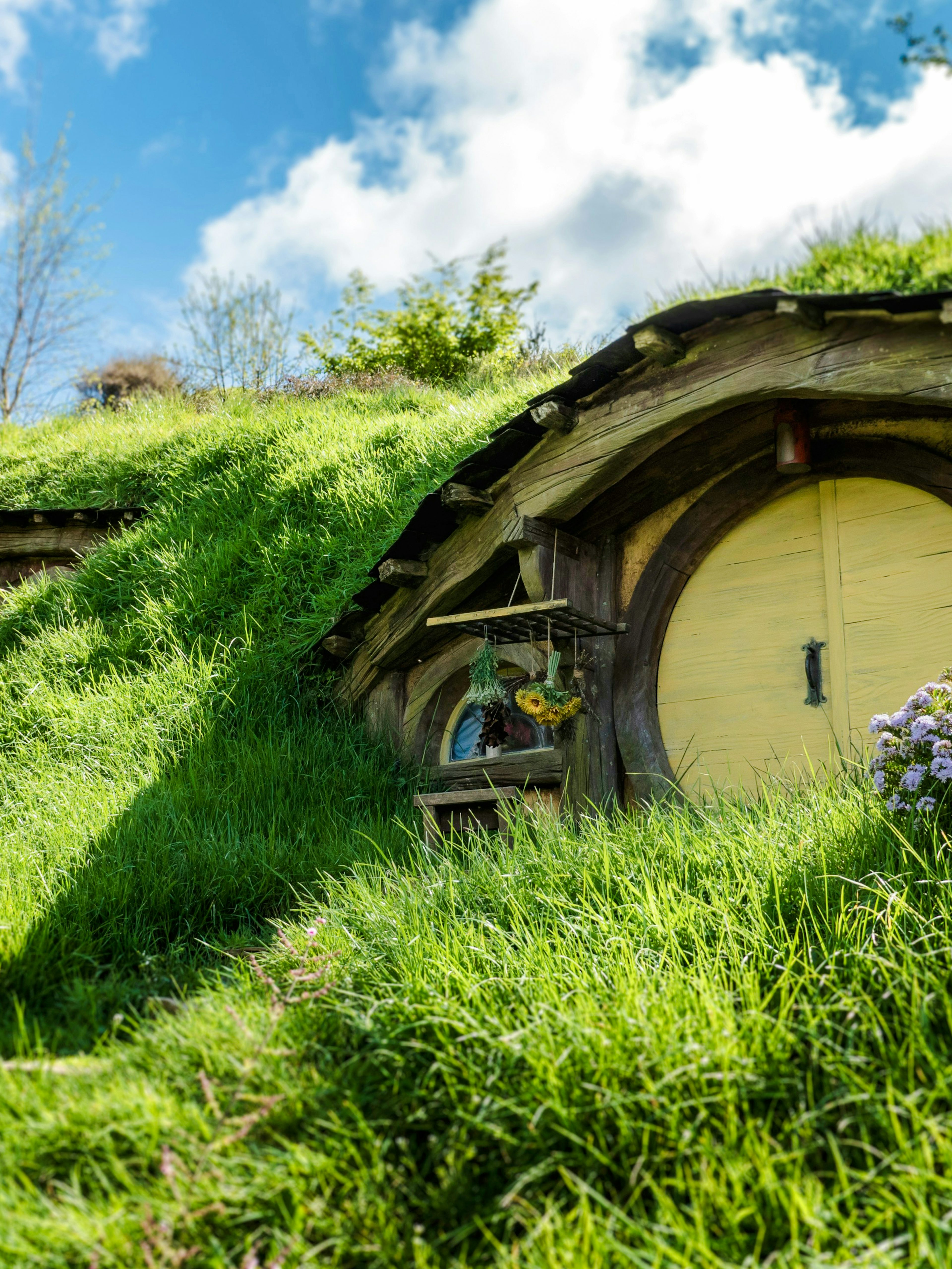Hobbit house with round door and windows on Hobbiton movie set tour.
