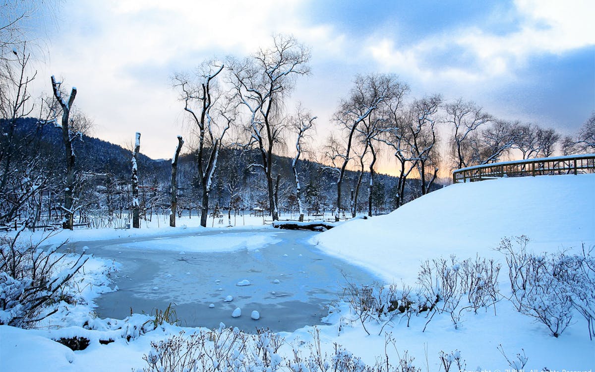 day trip to vivaldi park ski world & nami island from seoul-10 day trip to vivaldi park ski world & nami island from seoul-10