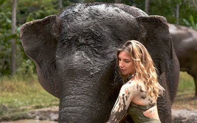 Person interacting with a mud-covered elephant at Bali Zoo's Elephant Mud Fun experience.
