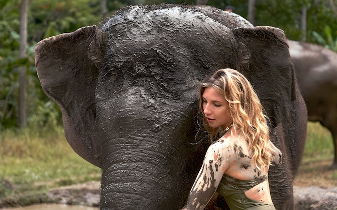 Person interacting with a mud-covered elephant at Bali Zoo's Elephant Mud Fun experience.