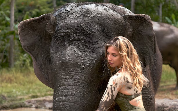 Person interacting with a mud-covered elephant at Bali Zoo's Elephant Mud Fun experience.