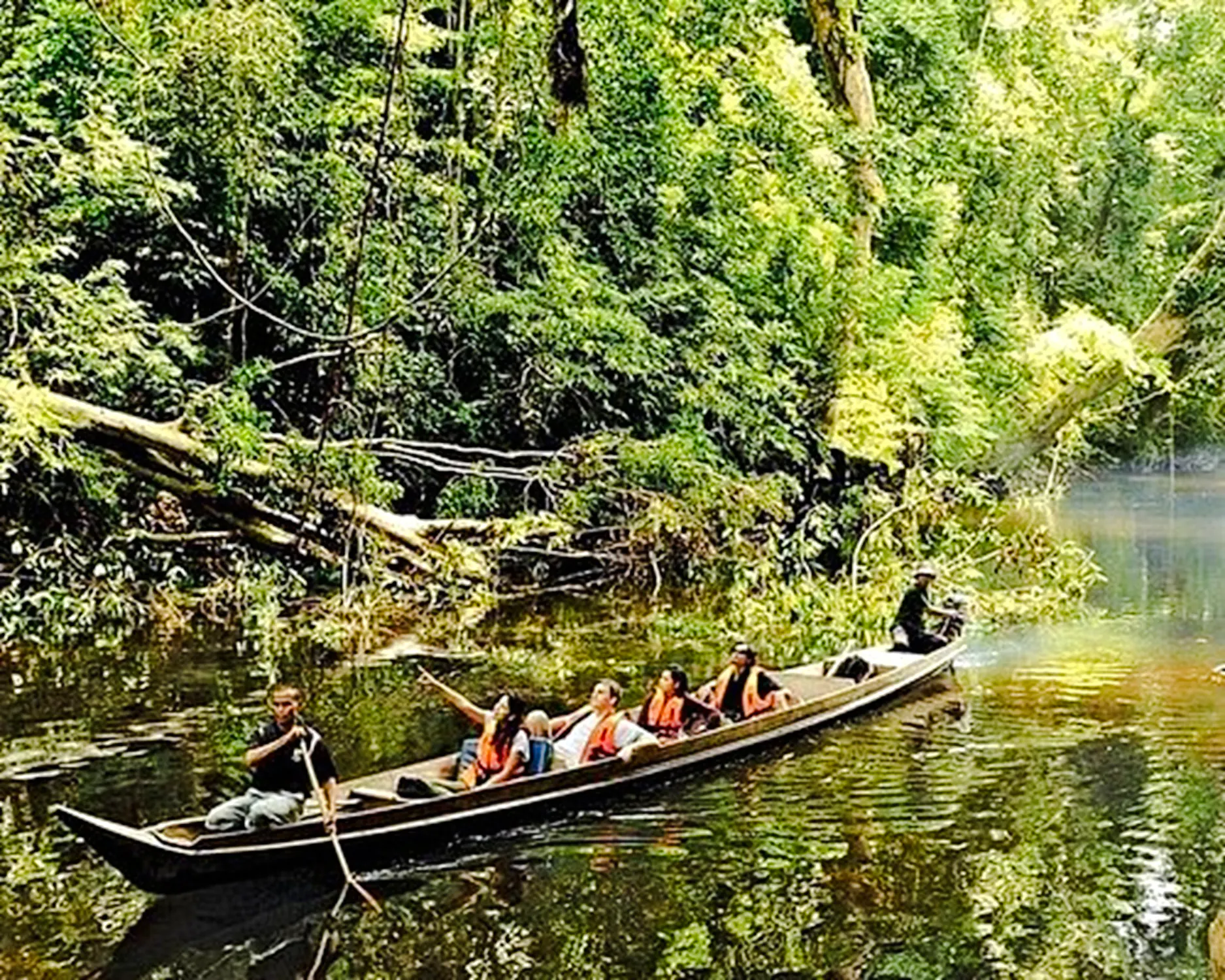 from kuala lumpur: taman negara national park private day trip with canopy walkway-16