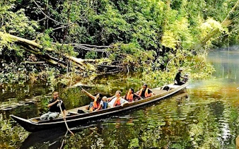 desde kuala lumpur: excursión privada de un día al parque nacional de taman negara con paseo por las copas de los árboles-16