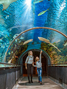 Mother and child walking through aquarium tunnel with fish swimming overhead.