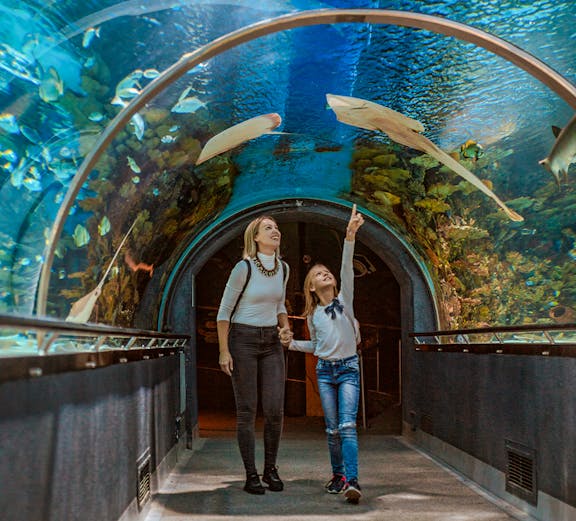 Mother and child walking through aquarium tunnel with fish swimming overhead.