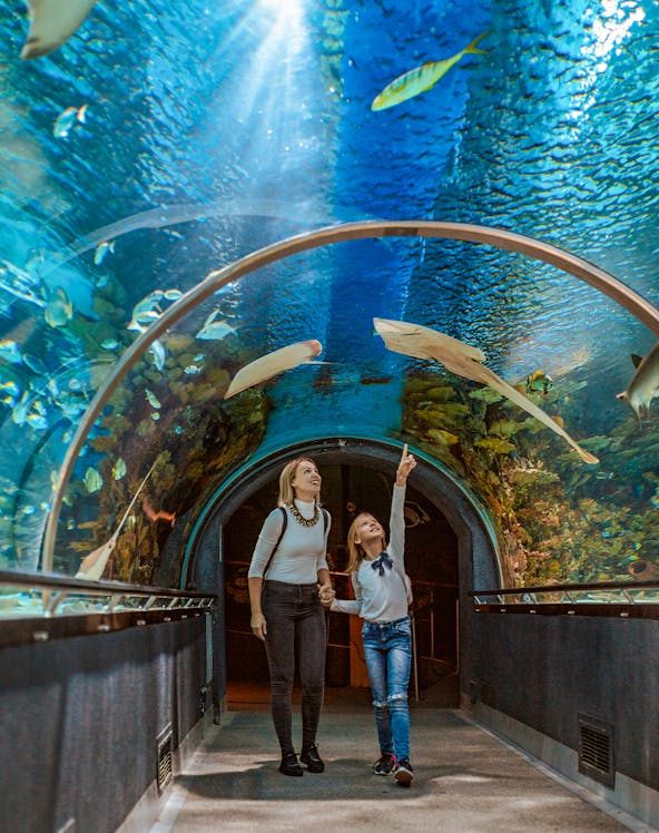 Mother and child walking through aquarium tunnel with fish swimming overhead.