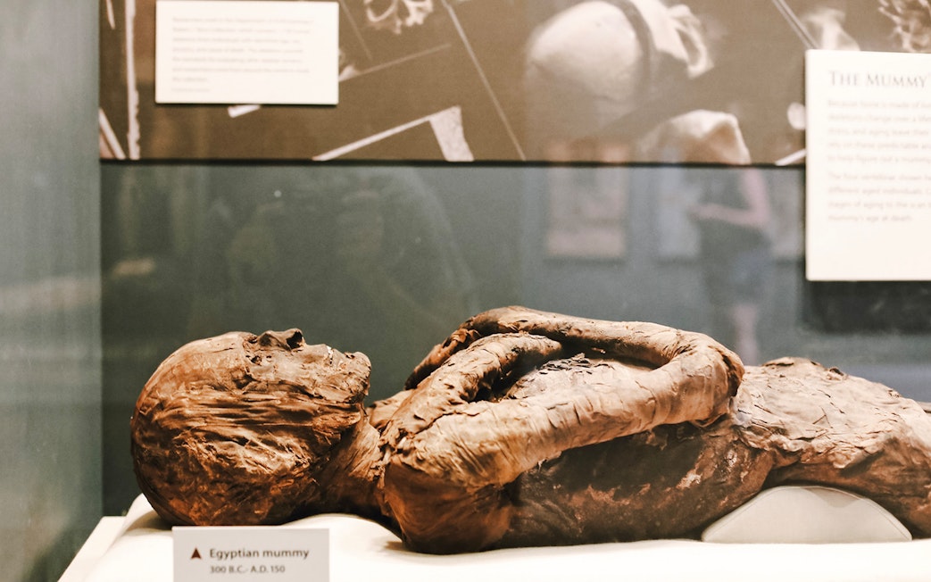 Egyptian mummy exhibit at Smithsonian National Museum of Natural History.