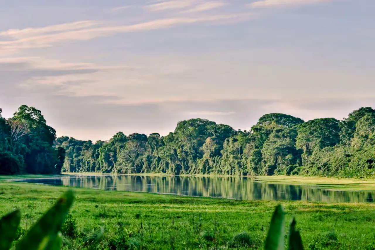 from cusco: 5-day manu national park amazon wildlife tour-5