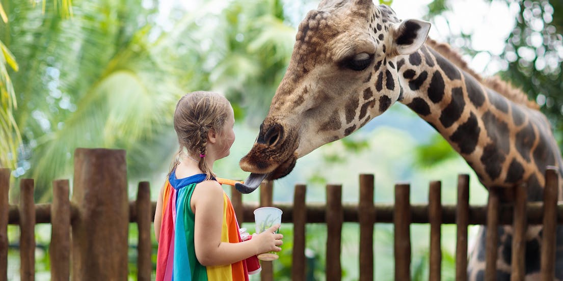 Perth Zoo Tickets